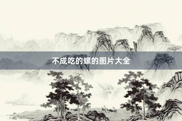 不成吃的螺的图片大全