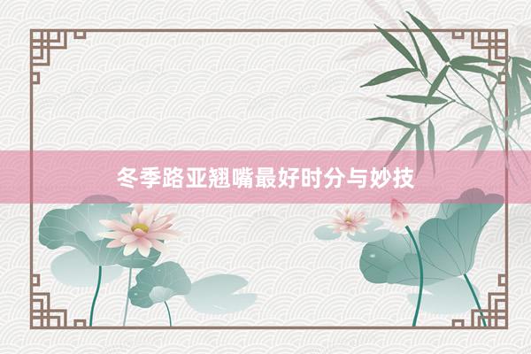 冬季路亚翘嘴最好时分与妙技
